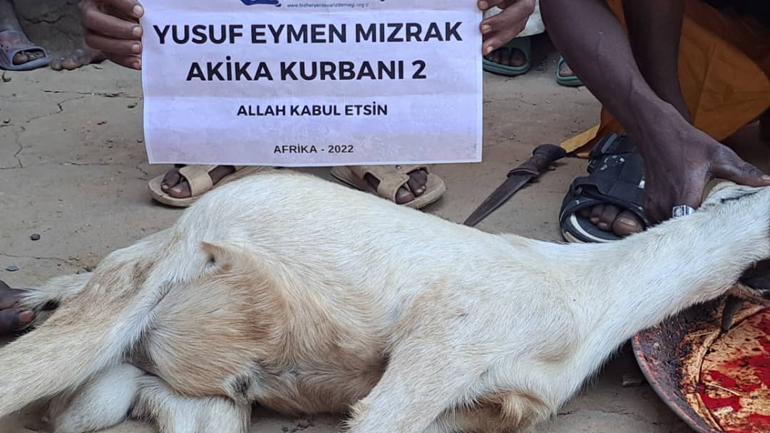 Vacip Kurban (Küçükbaş)