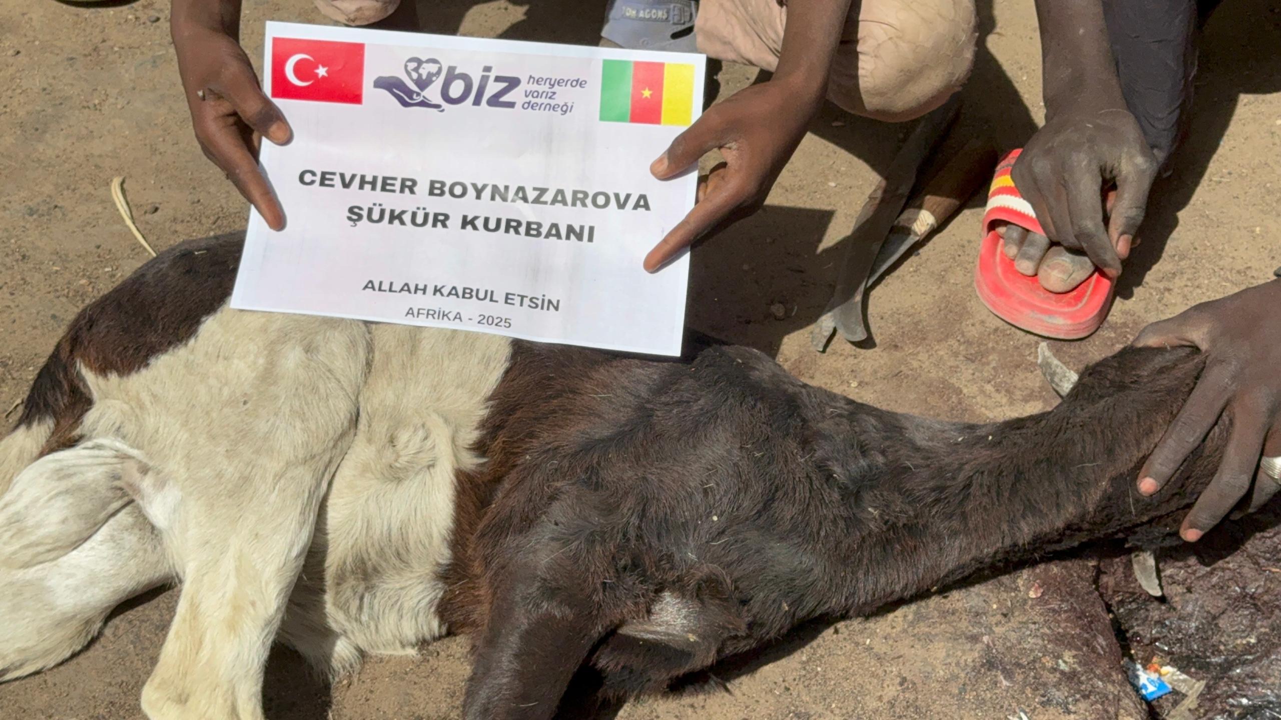 Kurban Görsel 3